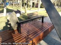 Imagine atasata: IMG_20150203_154032.jpg